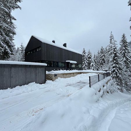 Chalet Dachstein Ramsau am Dachstein Exterior photo